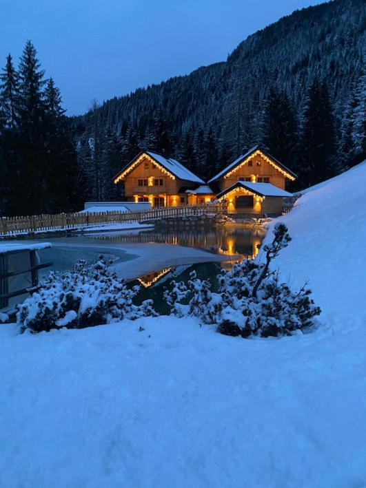 Bergseegut Chalet Und Apartment Ваграйн Екстер'єр фото